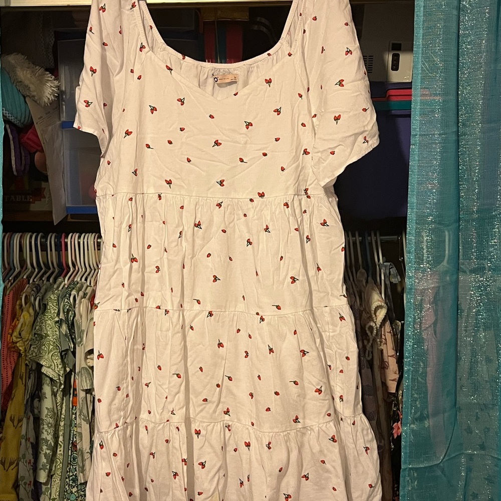 SO Women’s size 1x Strawberries dress on white adorable!